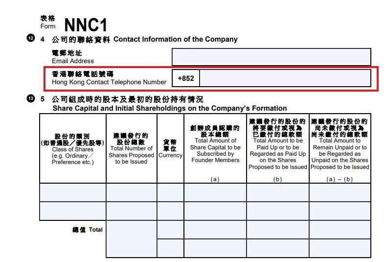 Screenshot of incorporation form NNC1