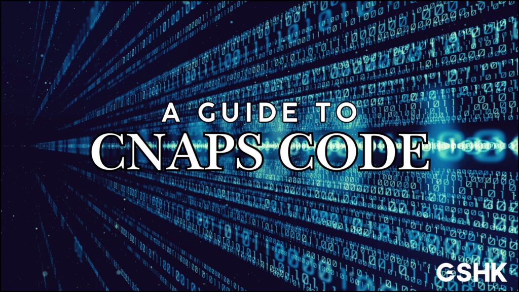A dark, digital-themed cover for a guide titled “A Guide to CNAPS Code,” with a stylized logo and abstract blue and white binary data streams