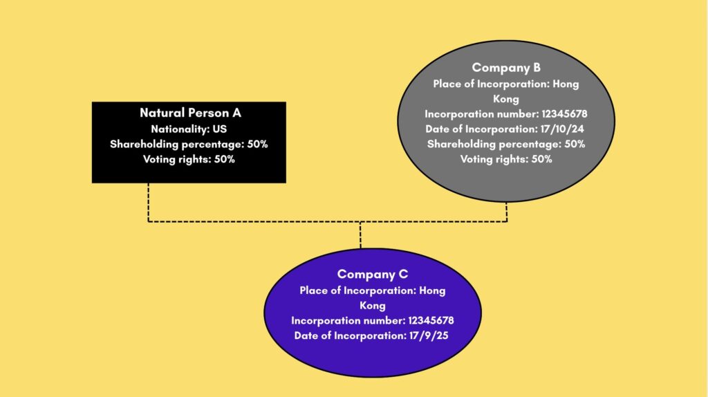 Your business structure chart: the essential information to include.