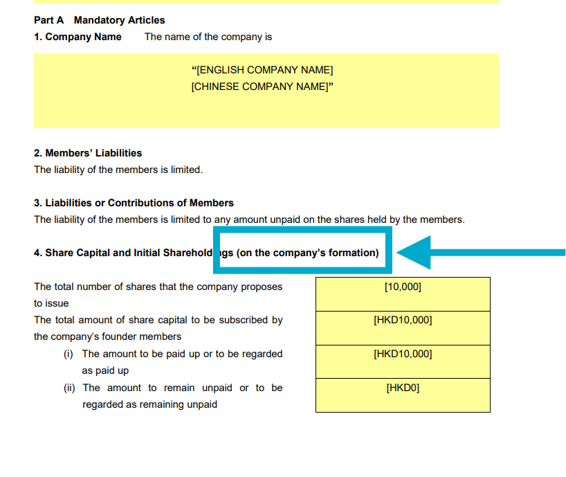Screenshot of the Articles stating shareholding details on the date of company formation